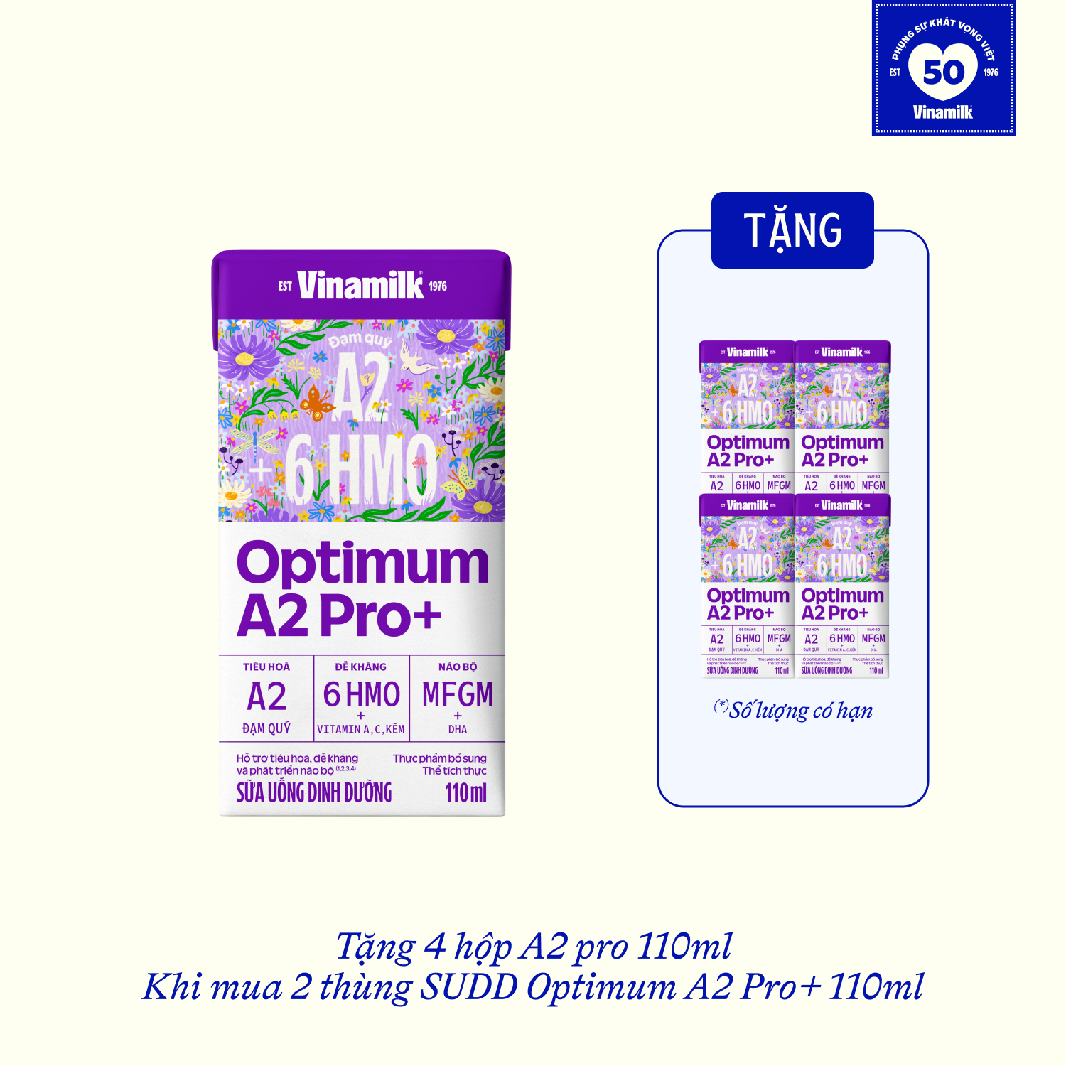 Thùng 24 hộp
