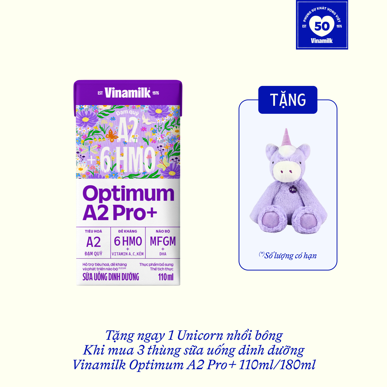Thùng 24 hộp