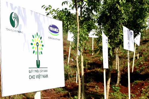 Quỹ một triệu cây xanh vươn lên Đồi Độc Lập 1