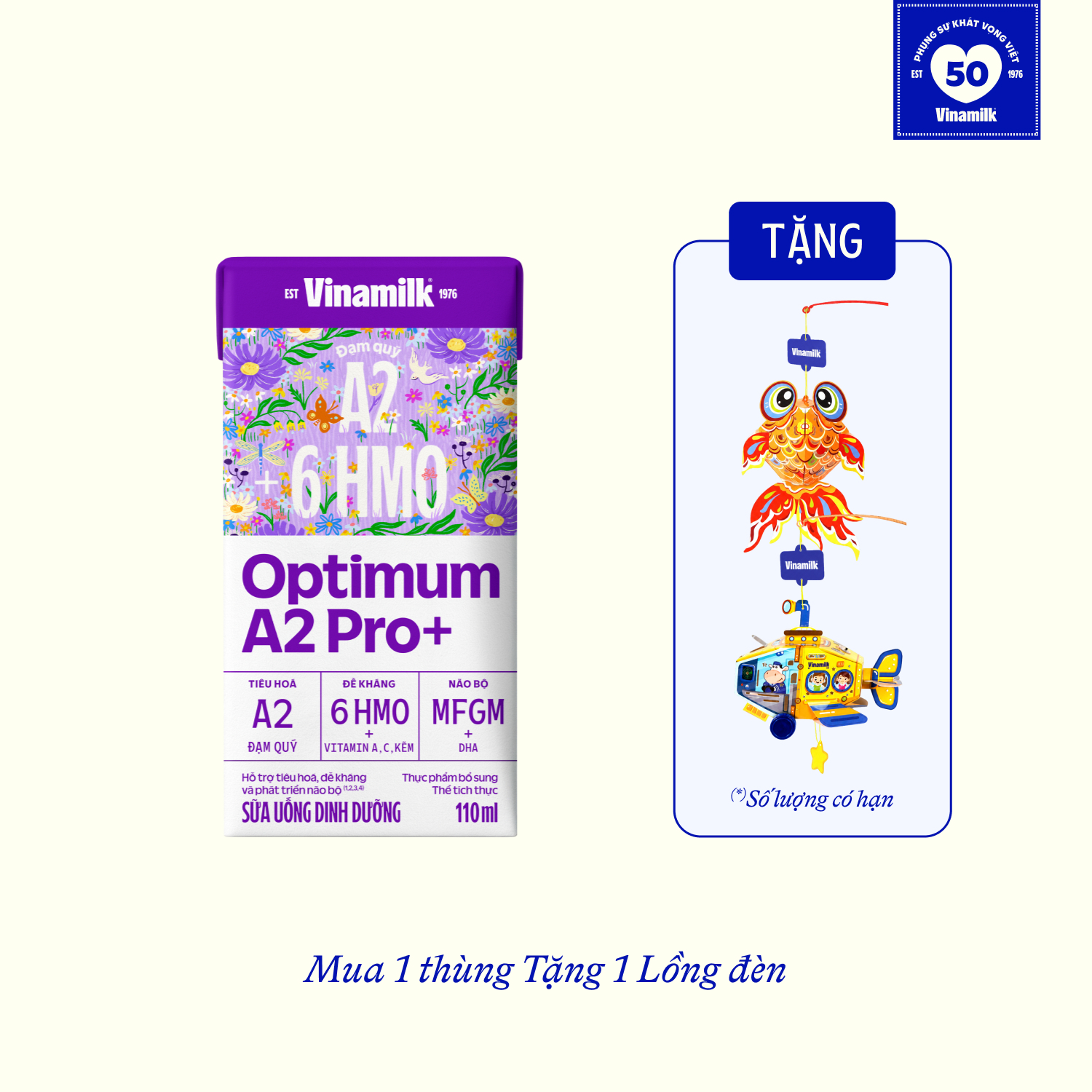 Thùng 24 hộp