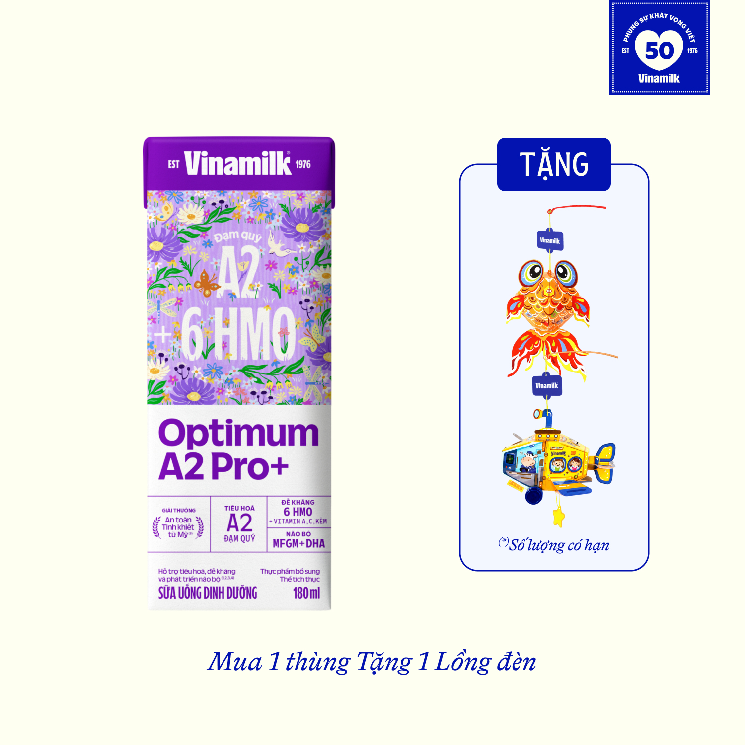 Thùng 24 hộp