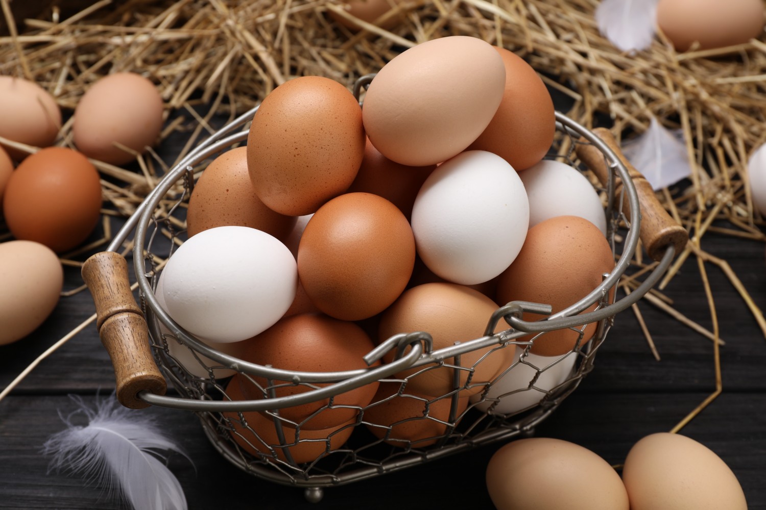Các nhóm thực phẩm giàu đạm