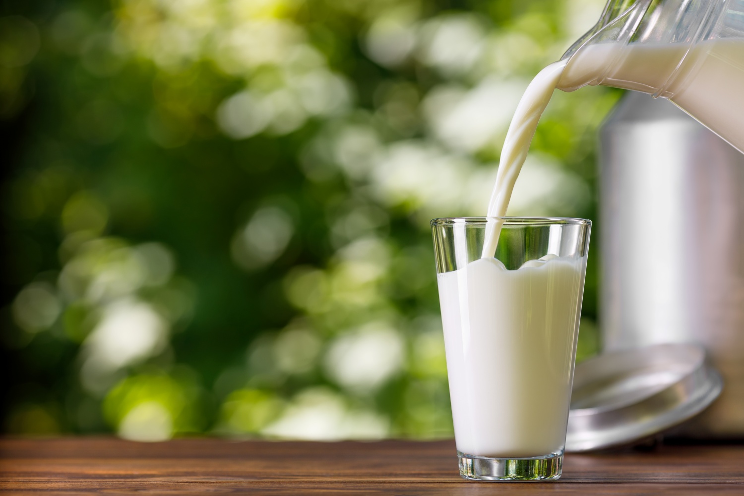 đạm whey là đạm gì