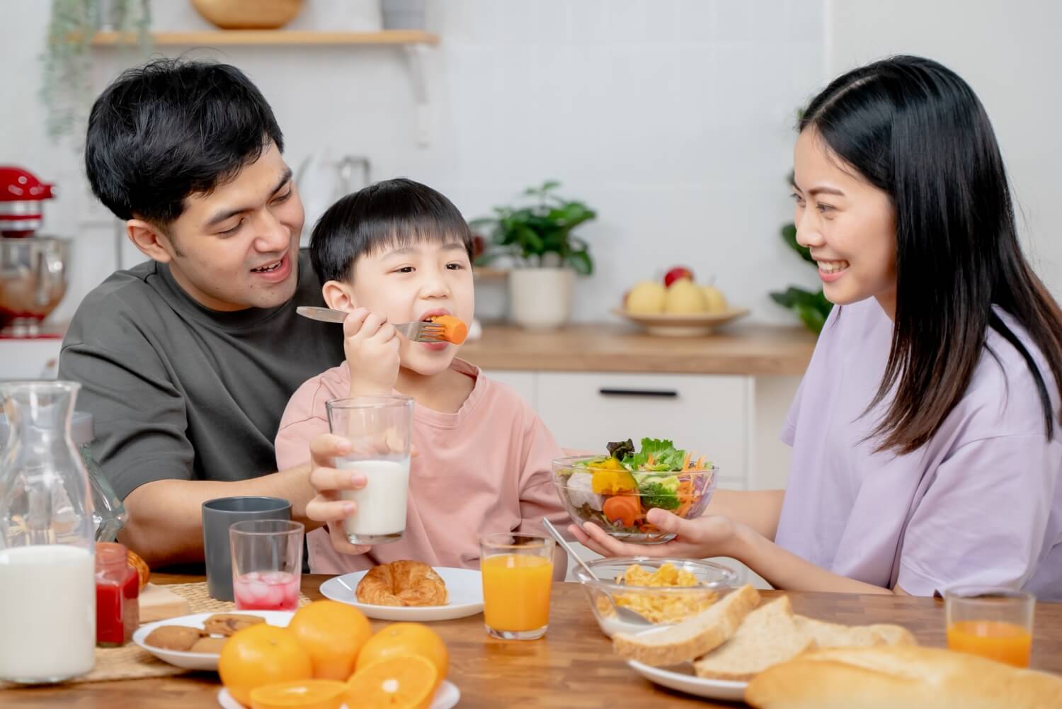 Lợi khuẩn probiotics giúp tăng cường hệ miễn dịch