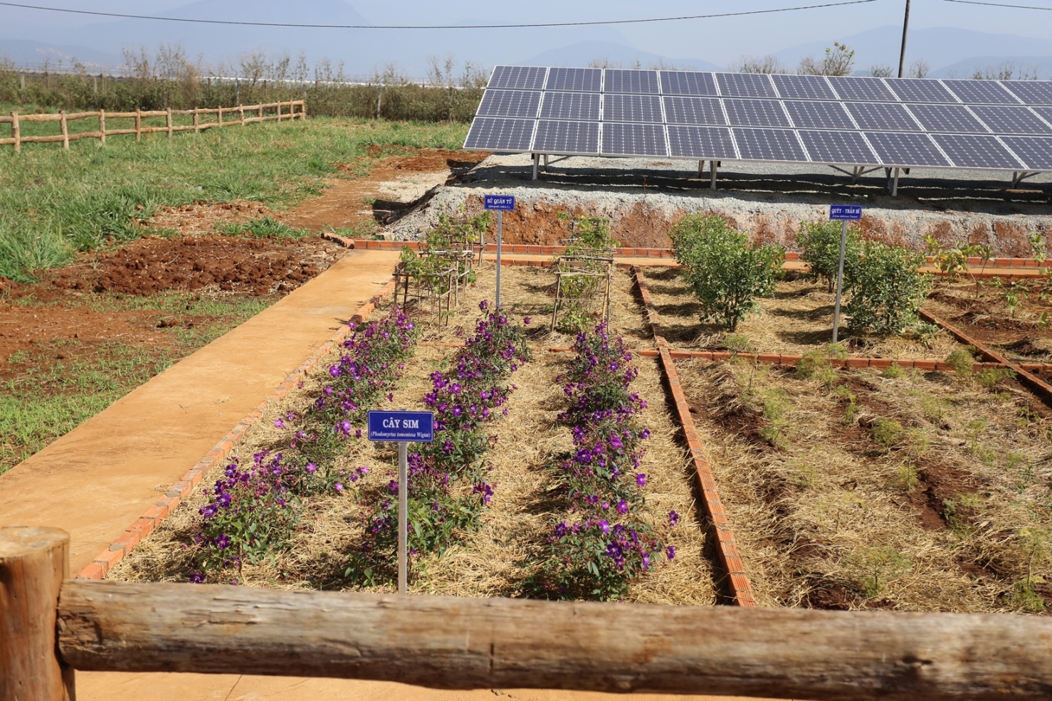 Trang trại bò sữa Organic tiêu chuẩn châu Âu đầu tiên tại Việt Nam được Vinamilk khánh thành tại Lâm Đồng 3