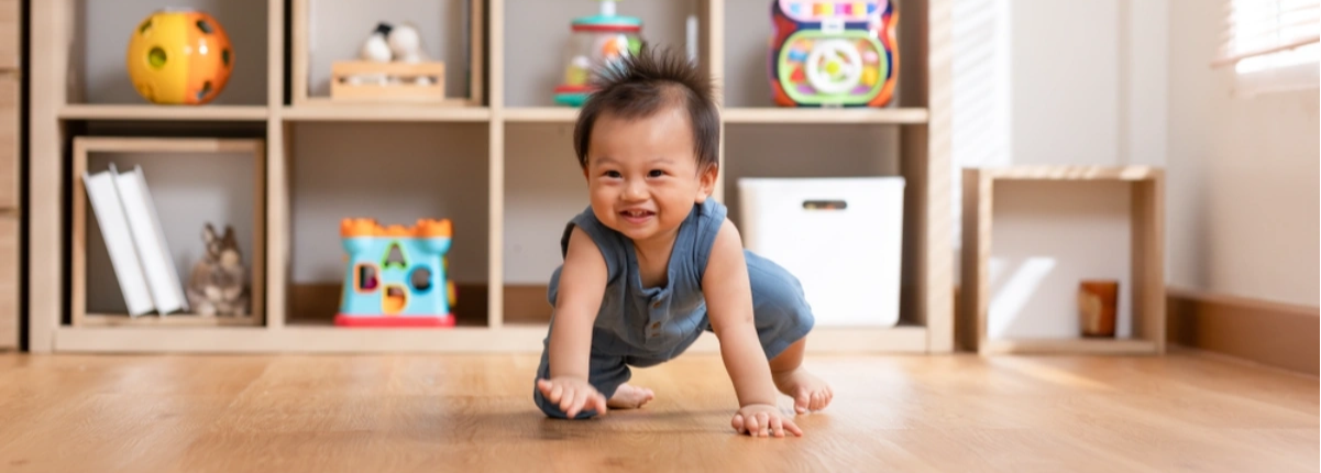 Bé biết bò