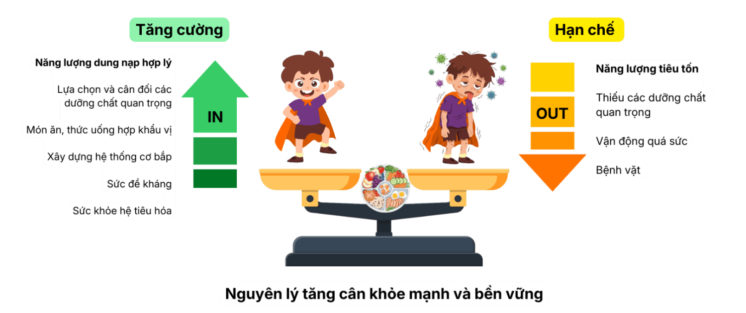 Nguyên lý tăng cân khỏe mạnh và bền vững