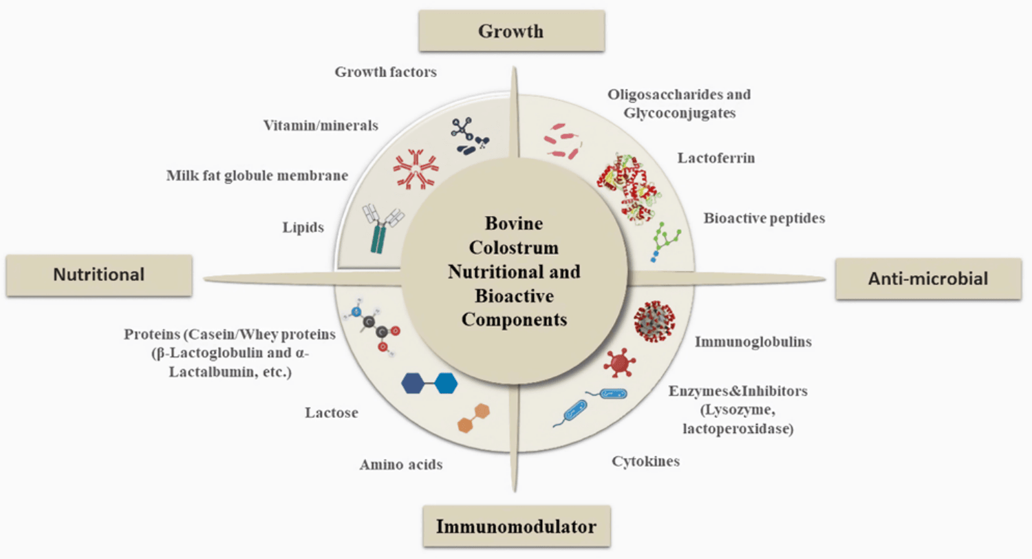 Các thành phần dinh dưỡng và hoạt tính sinh học của sữa non