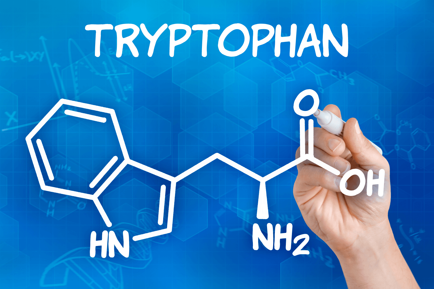 Tryptophan là gì?