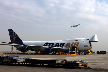 Bò cao sản đi máy bay Qantas về Việt Nam 1