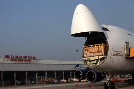 Bò cao sản đi máy bay Qantas về Việt Nam 2