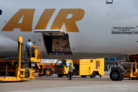 Bò cao sản đi máy bay Qantas về Việt Nam 3