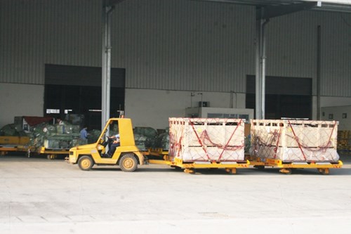 Cận cảnh 400 “cô bò” đi máy bay từ Úc về trang trại Vinamilk 3