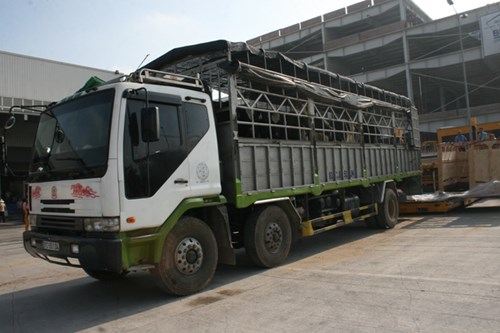 Cận cảnh 400 “cô bò” đi máy bay từ Úc về trang trại Vinamilk 11