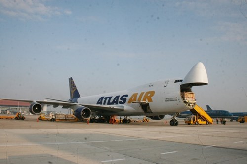 Cận cảnh 400 “cô bò” đi máy bay từ Úc về trang trại Vinamilk 4