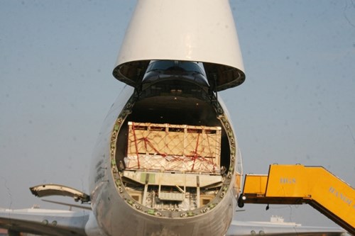 Cận cảnh 400 “cô bò” đi máy bay từ Úc về trang trại Vinamilk 6