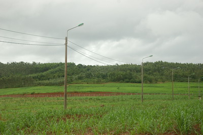 Vinamilk khánh thành trang trại bò sữa xuất sắc nhất năm 2014 (*) 2