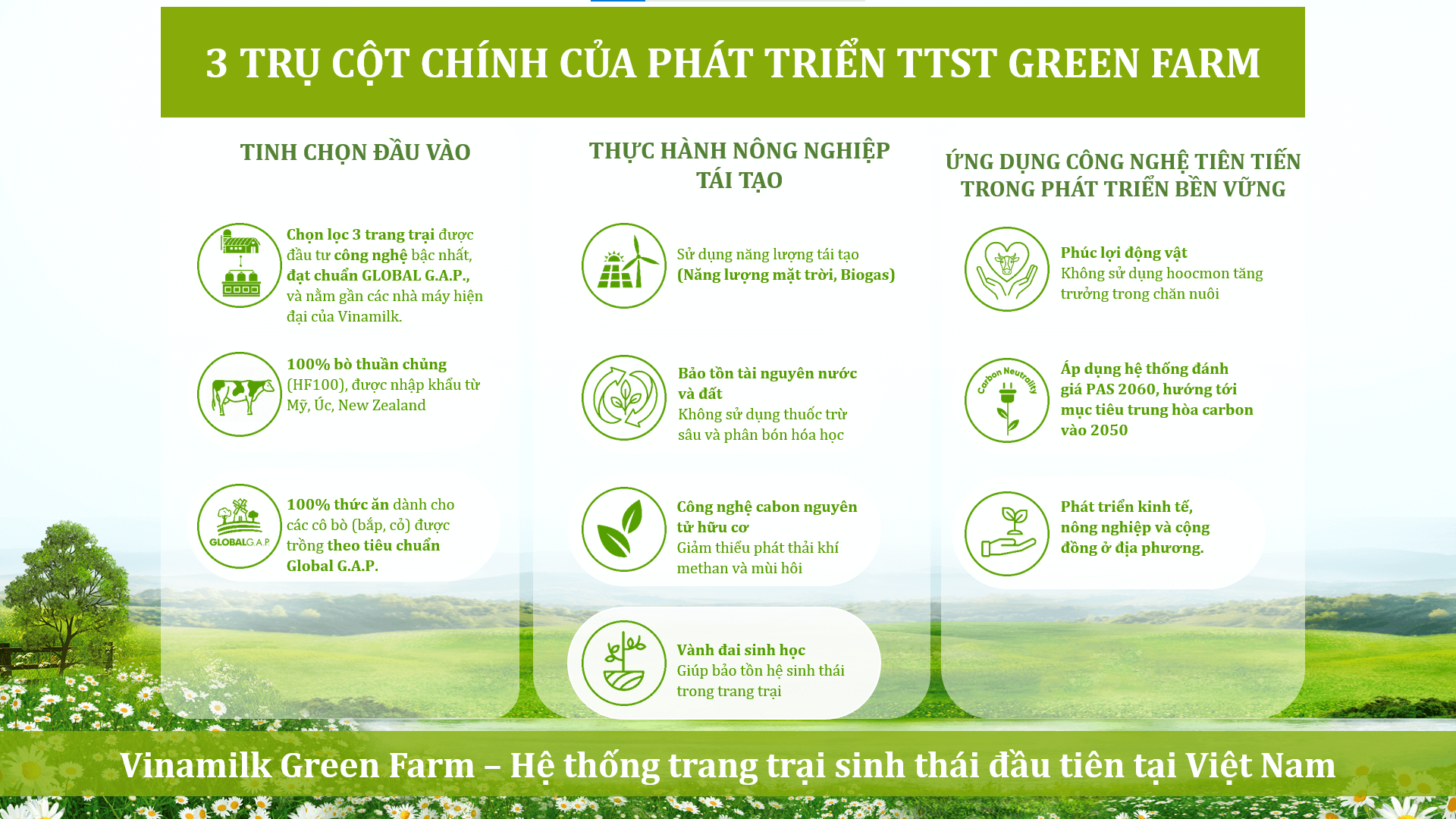 Mô hình phát triển bền vững “Vinamilk Green Farm” được chia sẻ tại hội nghị sữa toàn cầu 6