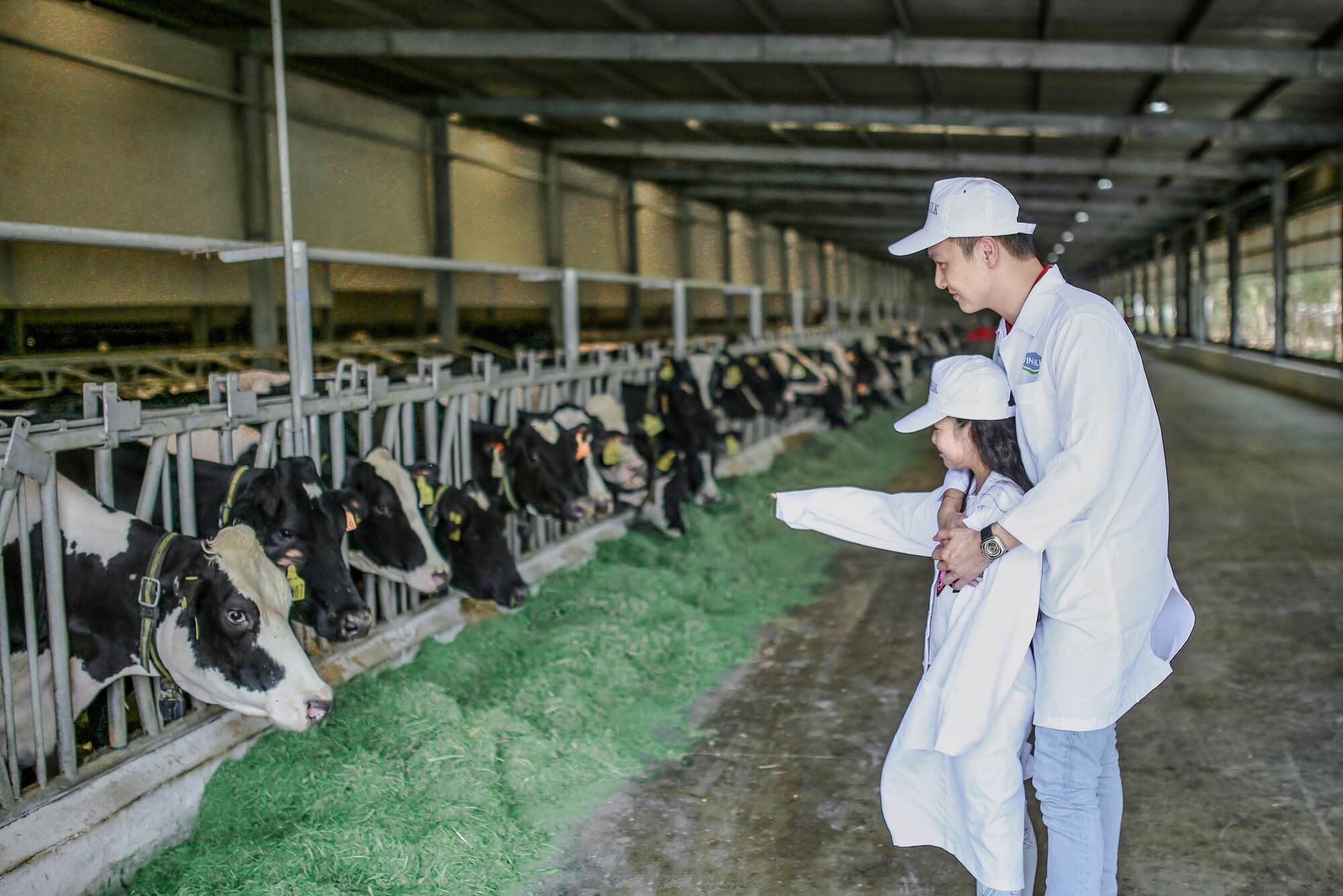 Diễn viên Mạnh Trường:  5