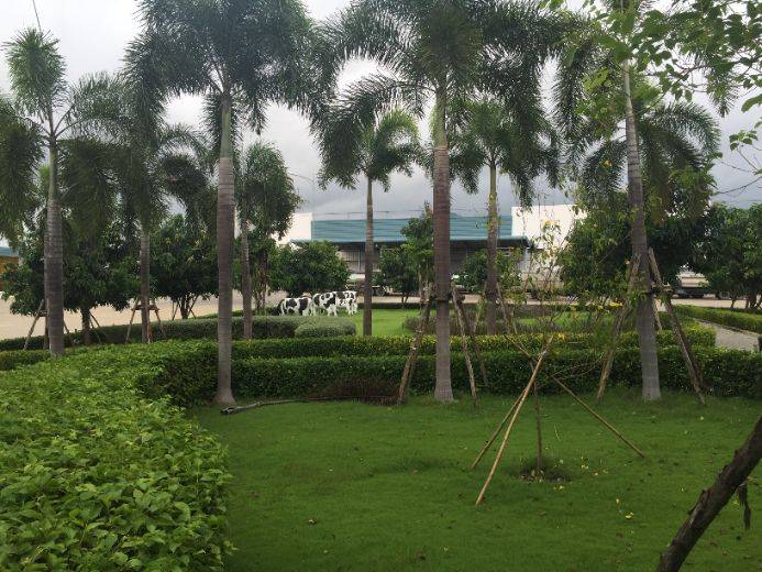 Kết quả QTMT NM sữa Việt Nam