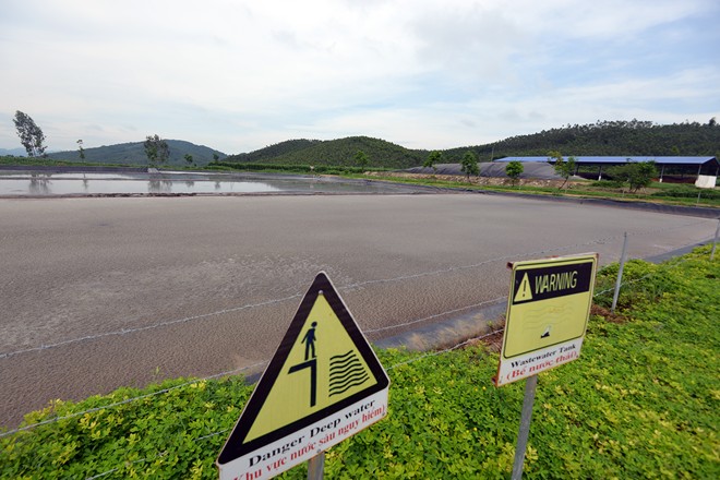 Cận cảnh trang trại bò sữa hàng đầu Đông Nam Á 12