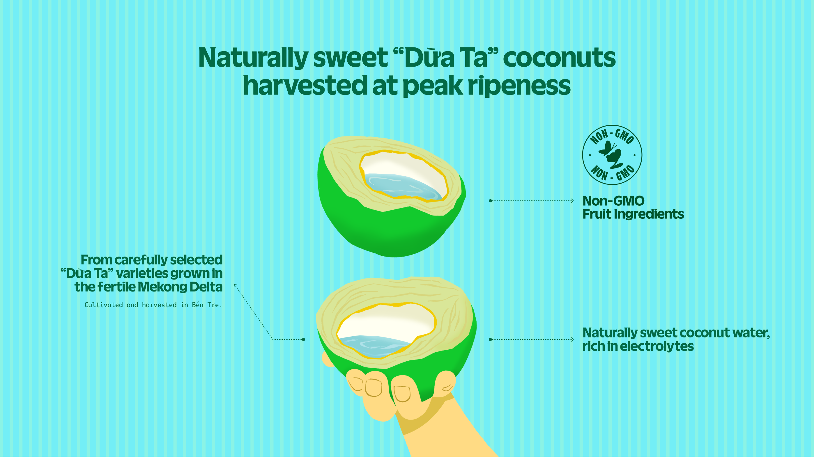 Product Info graphic