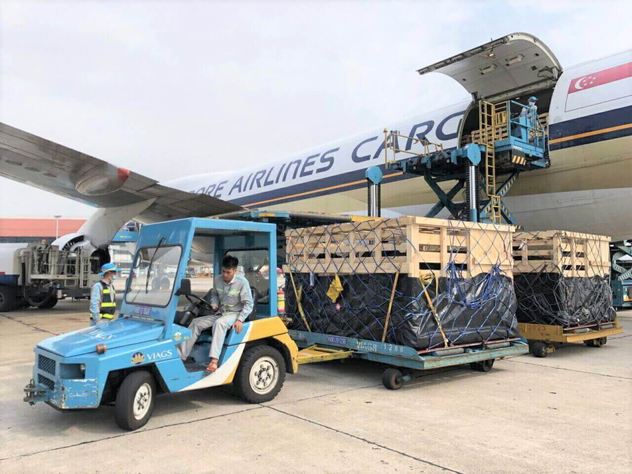 Vinamilk nhập lô bò A2 thuần chủng đầu tiên từ New Zealand 2