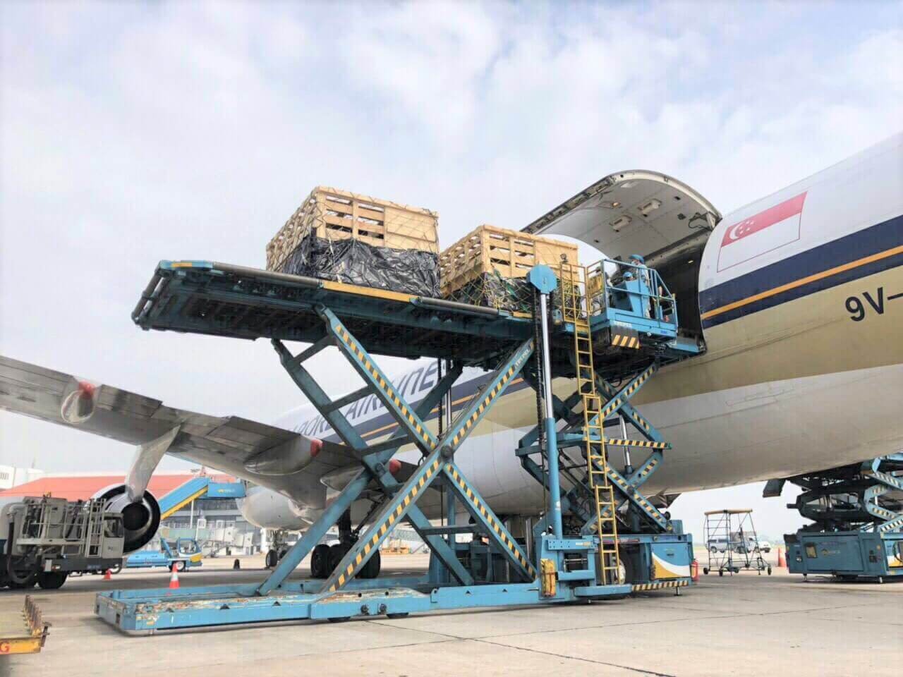 Vinamilk nhập lô bò A2 thuần chủng đầu tiên từ New Zealand 3