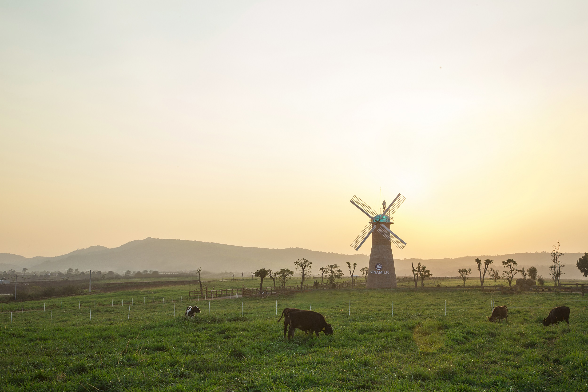 VINAMILK ĐÁNH DẤU VIỆT NAM TRÊN BẢN ĐỒ ORGANIC THẾ GIỚI 2