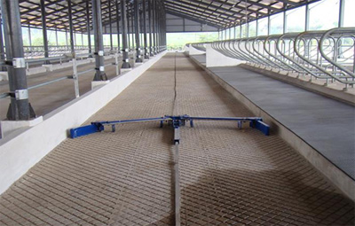 Vinamilk khánh thành trang trại bò sữa xuất sắc nhất năm 2014 (*) 7