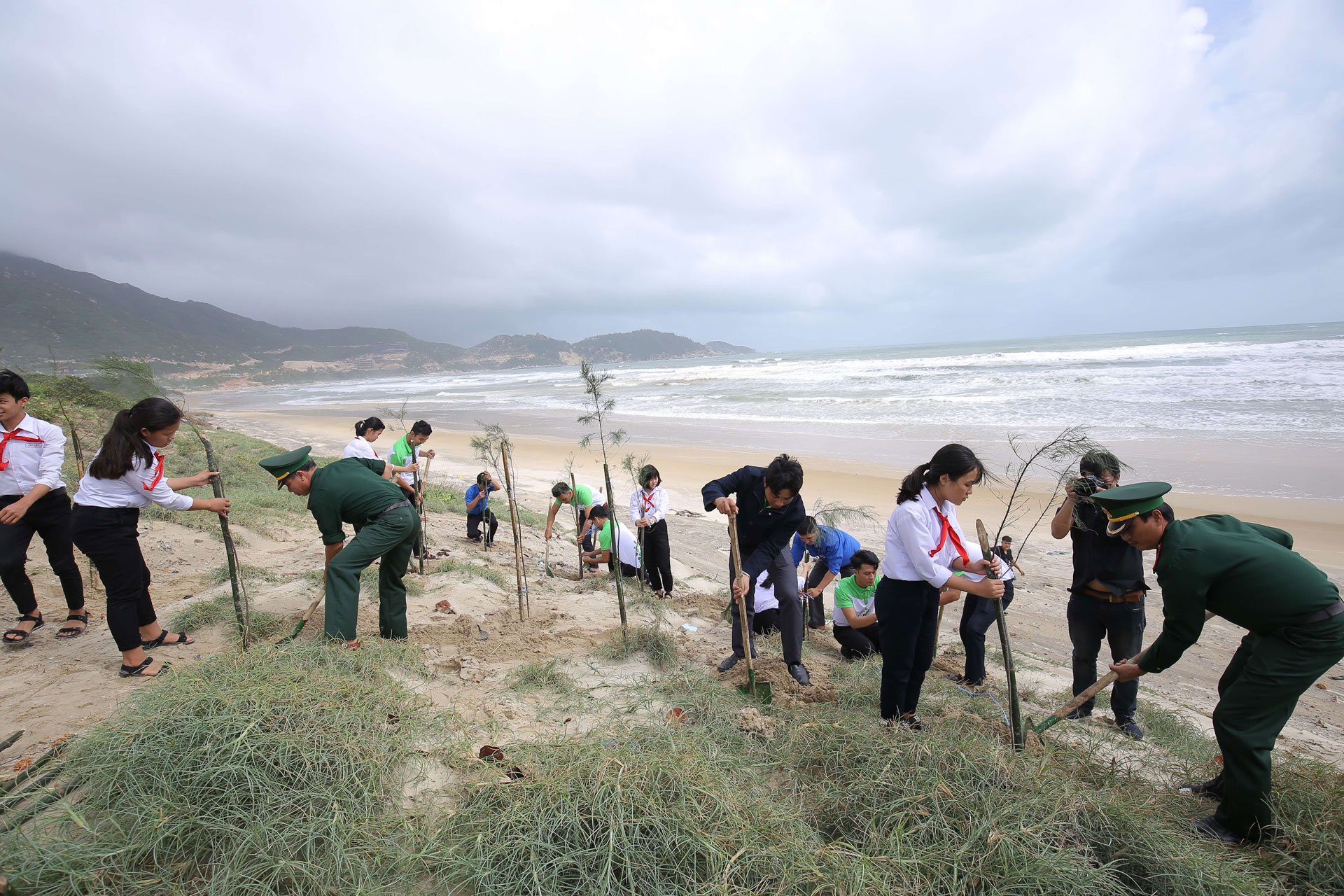 Vinamilk trồng cây xanh góp phần chống biến đổi khí hậu tại Bình Định 4