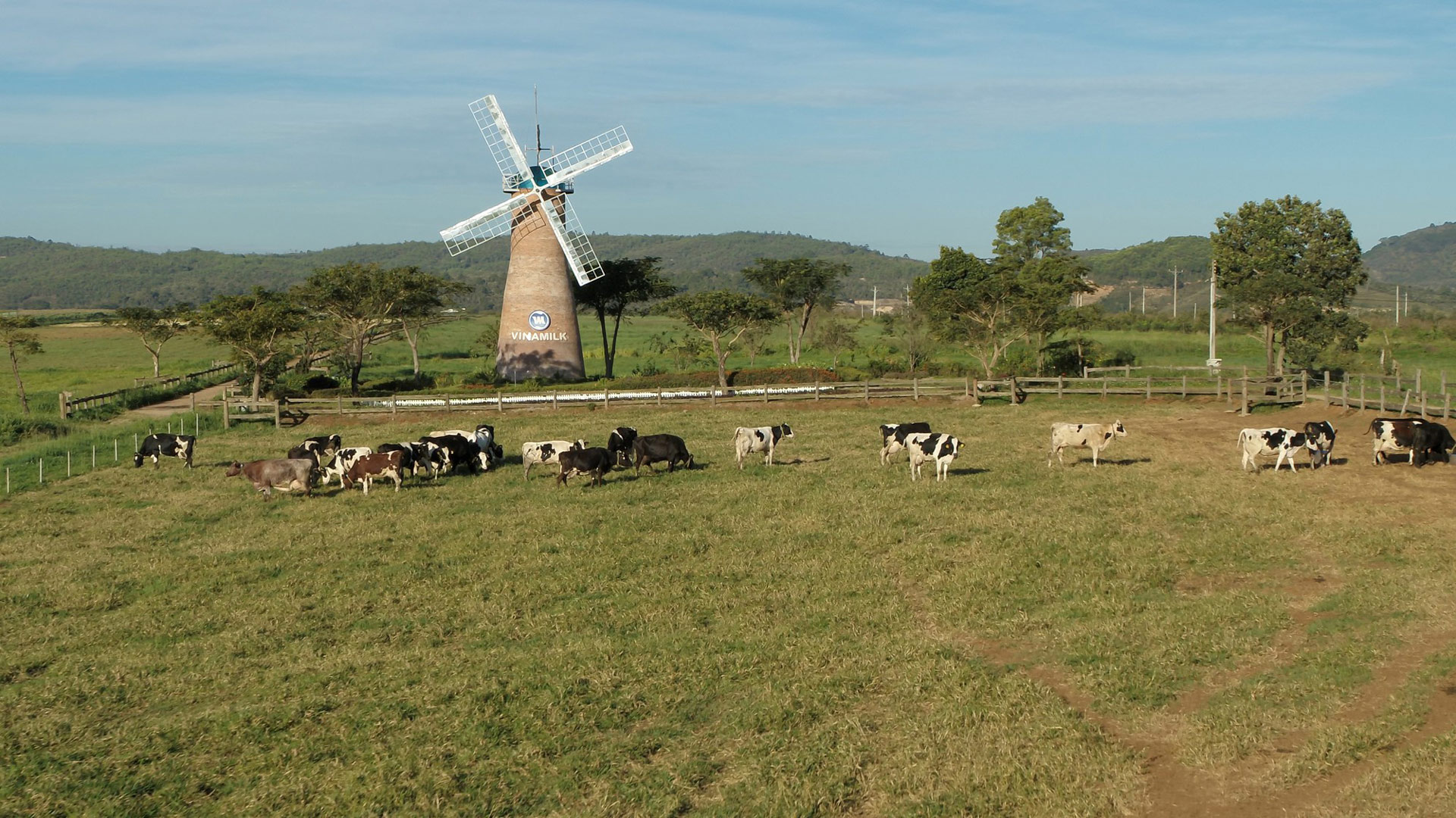 Dragon Capital: Việc đánh giá các dự án tiềm năng gặp khó khăn do thiếu dữ liệu liên quan đến ESG 5