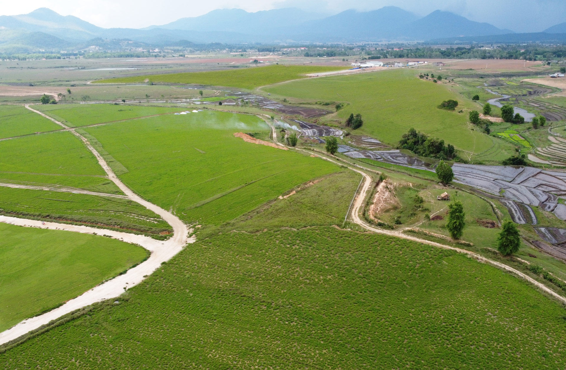 Đàn bò 8.000 con đầu tiên tại tổ hợp trang trại của Vinamilk tại Lào sẽ cho sữa vào đầu năm 2022 3