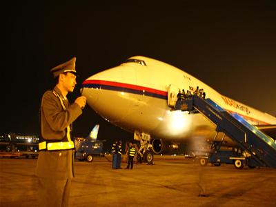 Bò đi chuyên cơ về Việt Nam 2