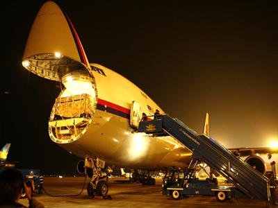 Bò đi chuyên cơ về Việt Nam 3