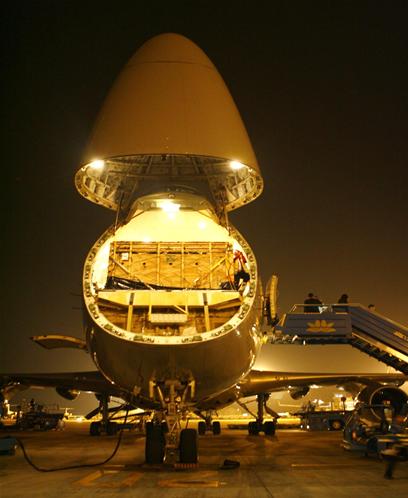 Bò đi chuyên cơ về Việt Nam 4