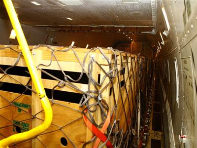 Bò đi chuyên cơ về Việt Nam 5