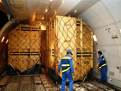 Bò đi chuyên cơ về Việt Nam 7