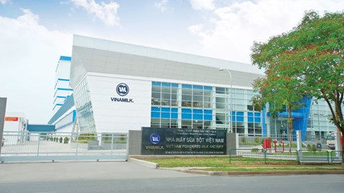 Nữ doanh nhân khai phá ngành sữa Việt 2