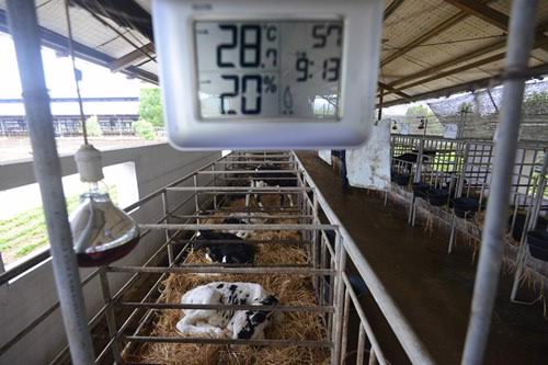 28 chuyến bay đặc biệt của Vinamilk 3