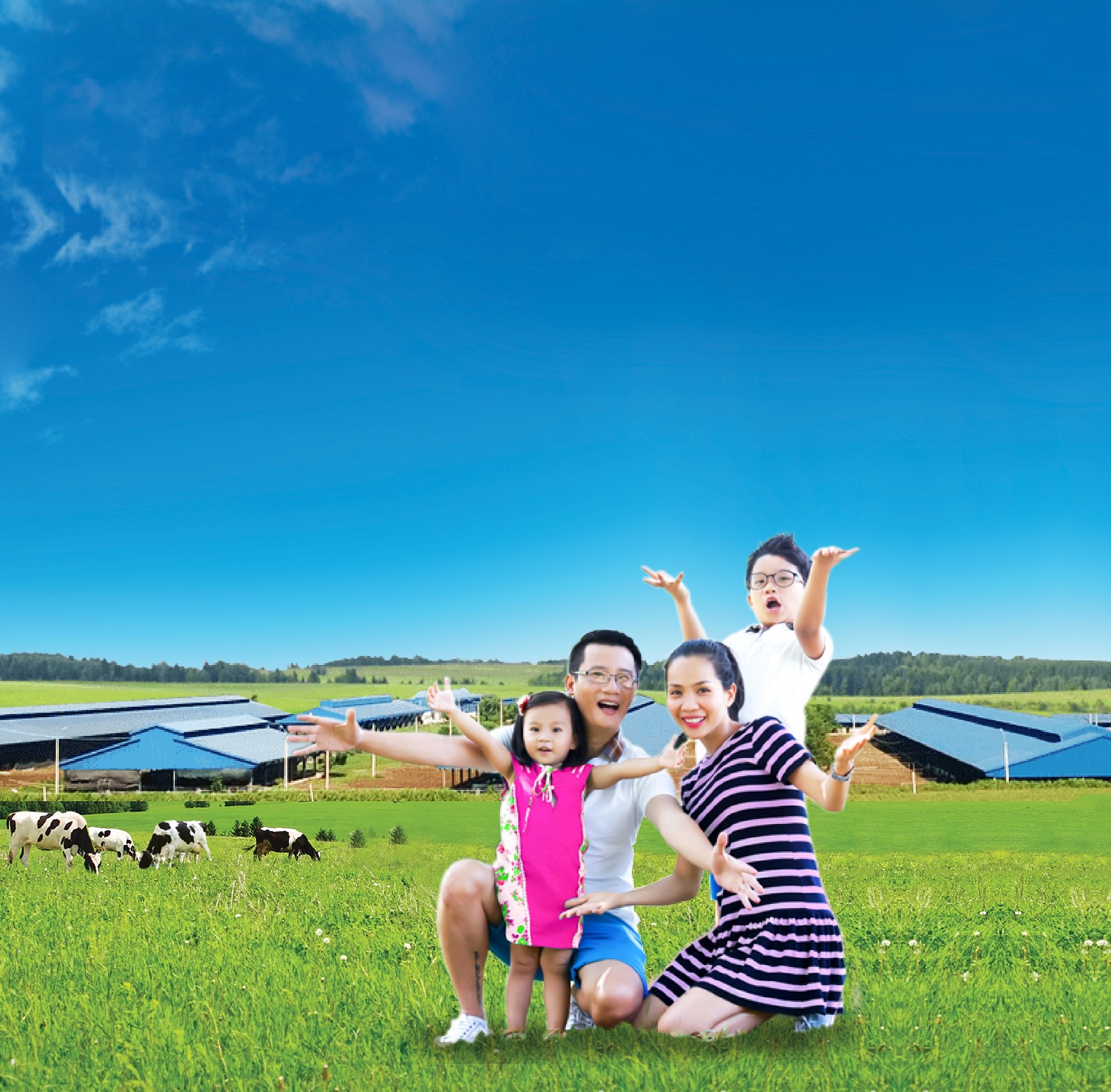 Theo dấu chân gia đình Hoàng Bách tham quan trang trại bò sữa xuất sắc nhất Việt Nam (*) 1