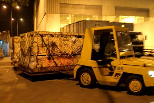 Hành trình xuyên đêm của 400 bò sữa cao sản từ Úc về trang trại Vinamilk 1