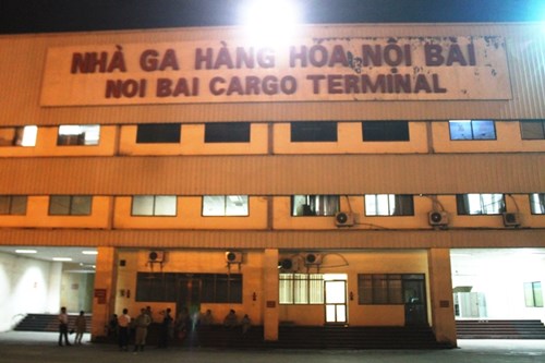 Hành trình xuyên đêm của 400 bò sữa cao sản từ Úc về trang trại Vinamilk 3