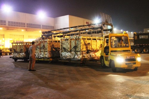 Hành trình xuyên đêm của 400 bò sữa cao sản từ Úc về trang trại Vinamilk 5
