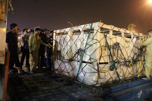 Hành trình xuyên đêm của 400 bò sữa cao sản từ Úc về trang trại Vinamilk 6