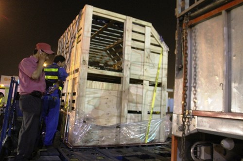 Hành trình xuyên đêm của 400 bò sữa cao sản từ Úc về trang trại Vinamilk 8