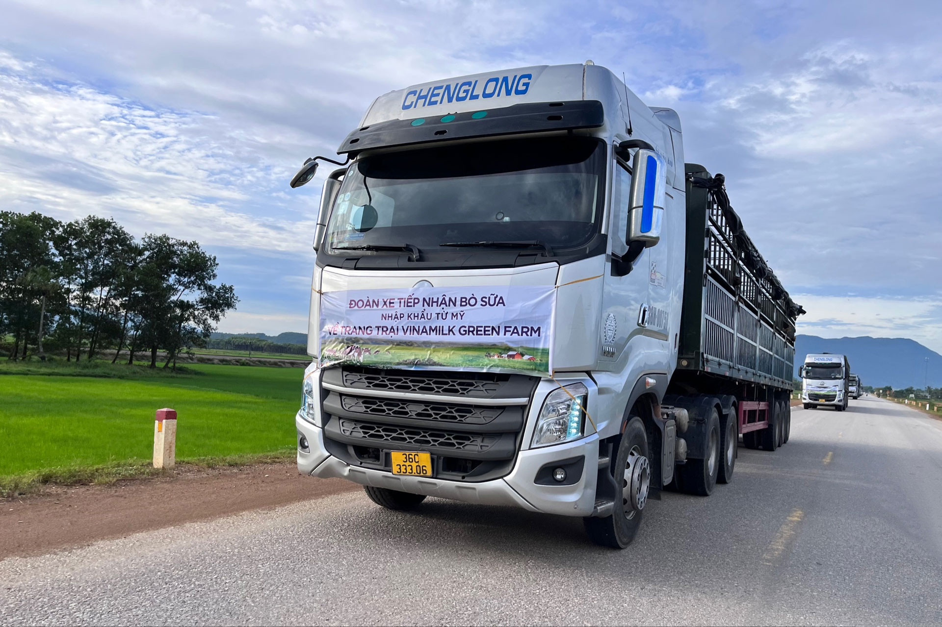 Vinamilk tiếp nhận thành công 1.550 bò sữa nhập từ Mỹ về các trang trại Green Farm 6