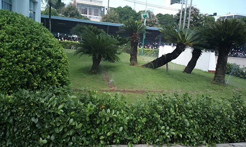 Cả 3 nhà máy của Vinamilk ở TP HCM nhận giải thưởng Môi trường 2