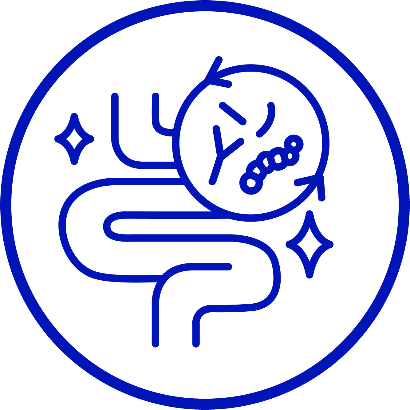 Hỗ trợ miễn dịch đường ruột