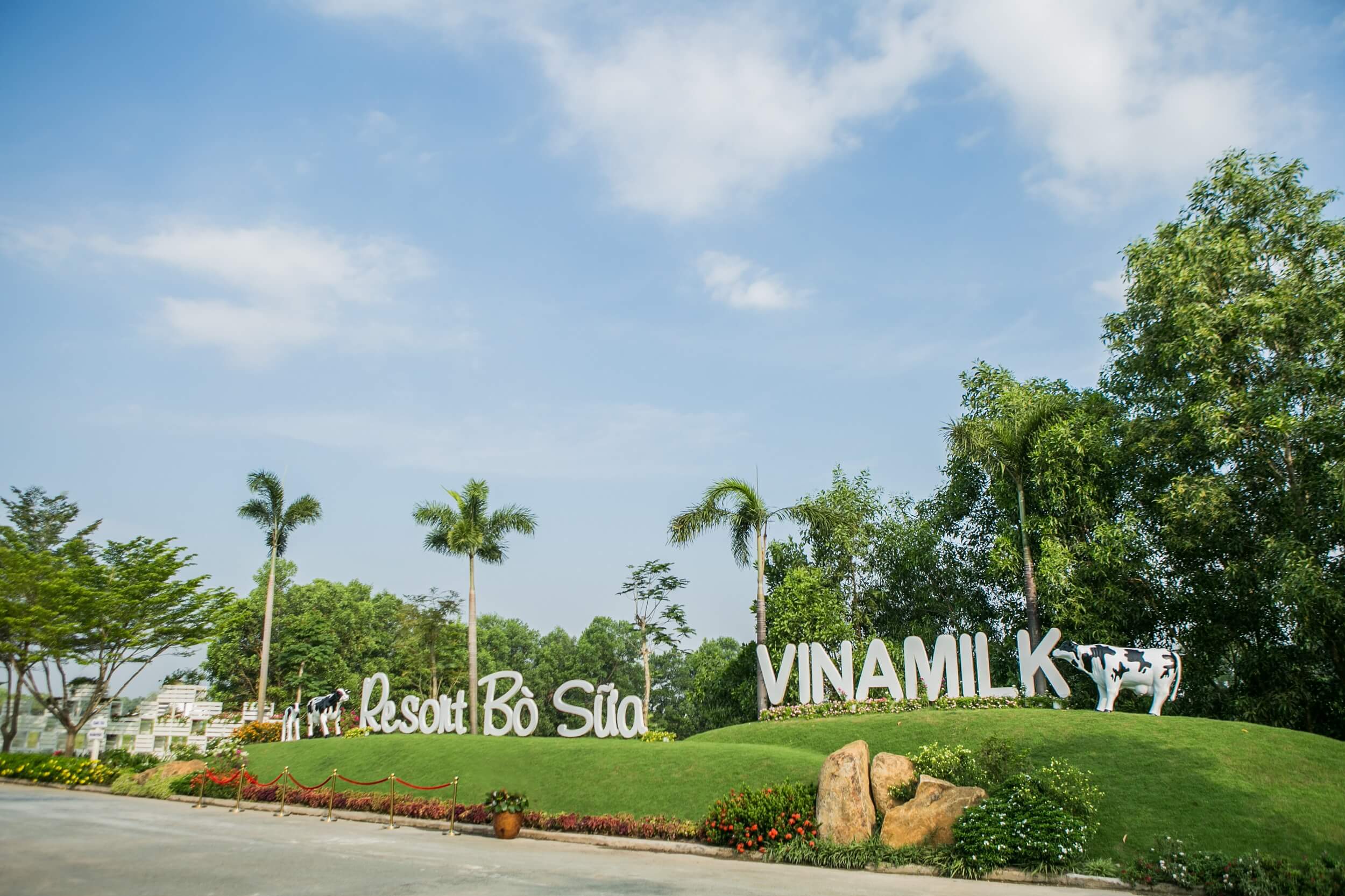 Resort bò sữa Vinamilk Tây Ninh - Ngôi nhà của những cô bò hạnh phúc 5